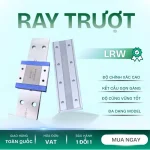 RAY TRƯỢT LRW
