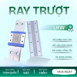 RAY TRƯỢT LRW