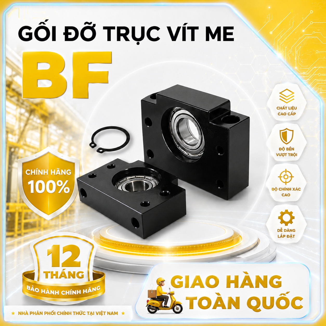 Gối đỡ trục vít me BF30
