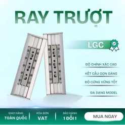 RAY TRƯỢT LGC