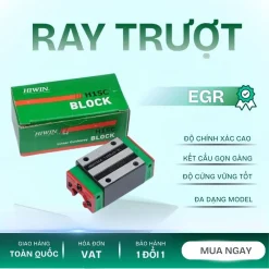 RAY TRƯỢT EGR