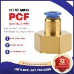 PCF6-03 Nối nhanh thẳng ren trong Airtac (PCF6-03-S thép)